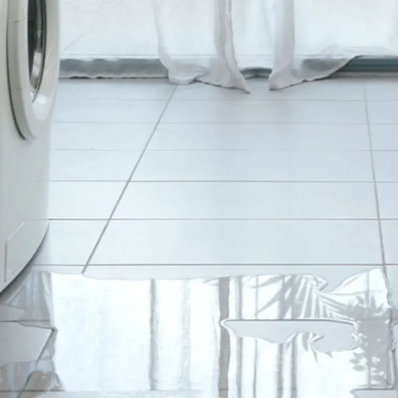 Appliance Leak Cleanup in Charleston, ME