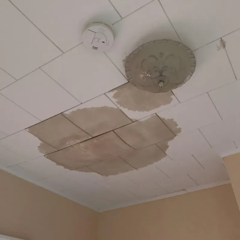 Ceiling Water Damage Repair in Charleston, ME