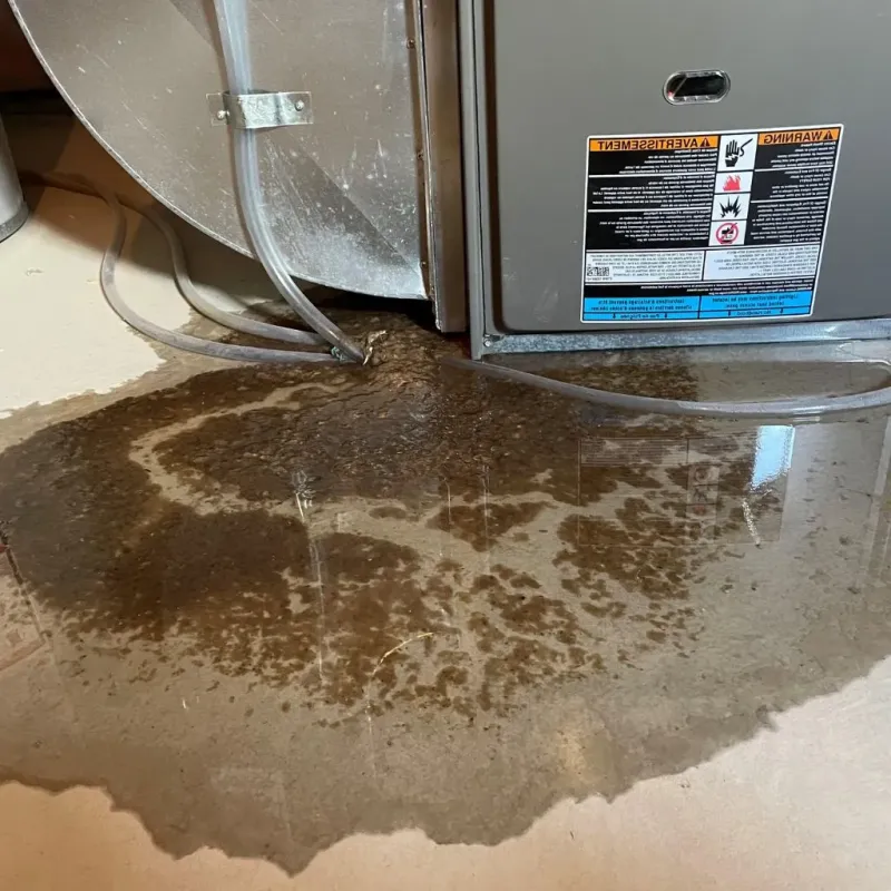 Pipe Burst and Leak Restoration in Charleston, ME